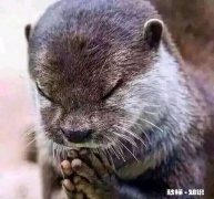 该怎样和强势、控制欲强、不讲卫生的婆婆相处