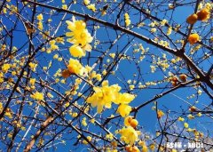 退休后的生活如何度过才更有意义、更加精彩