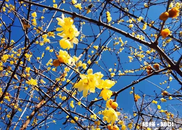 退休后的生活如何度过才更有意义、更加精彩