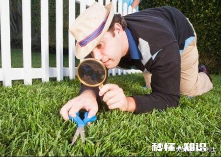 有人说“人，最怕的是和自己过不去”你认同这句话吗为什么