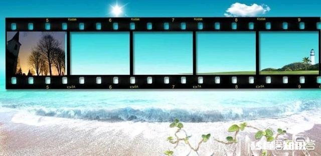 卖影视会员去哪里卖