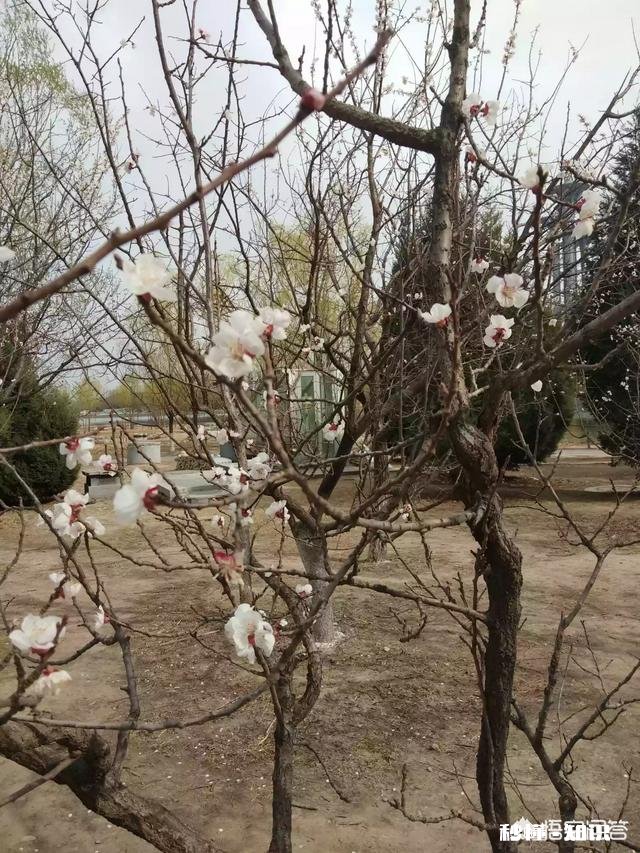 卖影视会员去哪里卖