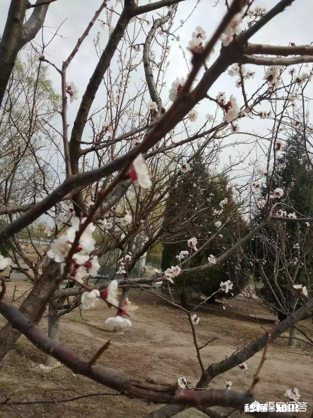 卖影视会员去哪里卖