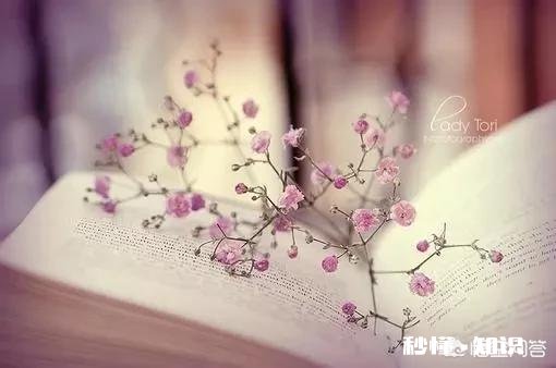 娱乐平台一直坚持写原创，4.7万阅读量只有1.79元收益，还有坚持的必要吗