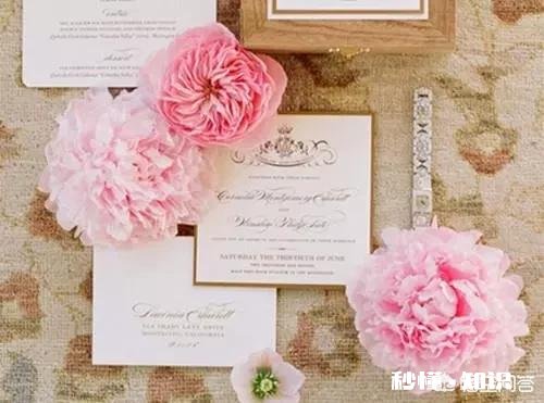 娱乐平台一直坚持写原创，4.7万阅读量只有1.79元收益，还有坚持的必要吗