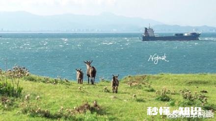 长乐东洛岛值得一去吗