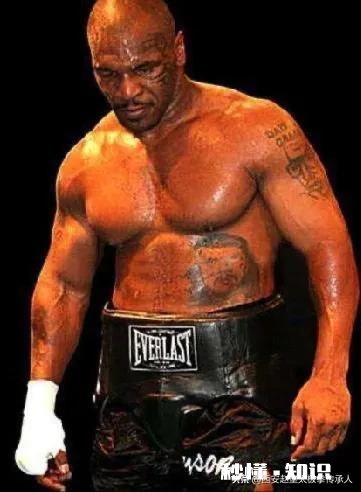 重量级拳王巅峰泰森和世界次重量级自由搏击拳王有的打吗