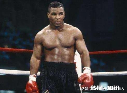重量级拳王巅峰泰森和世界次重量级自由搏击拳王有的打吗