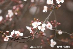 怎么样在30天内获得优质推荐问答获得了很多首页推荐都还没有一个优质推荐