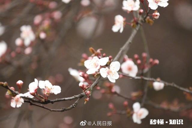 怎么样在30天内获得优质推荐问答获得了很多首页推荐都还没有一个优质推荐