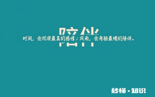 那些能让我们拼命守护的究竟是什么