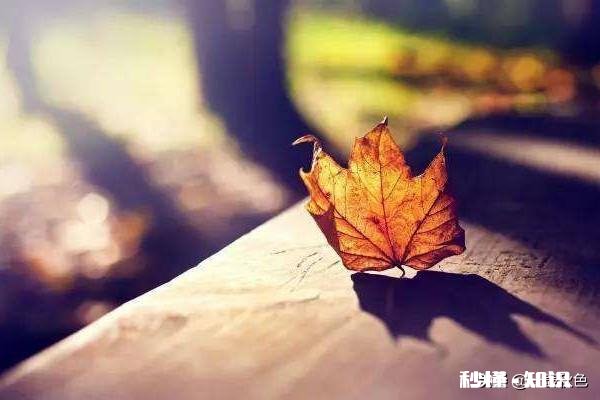 为什么见到讨厌的人心情会瞬间变差