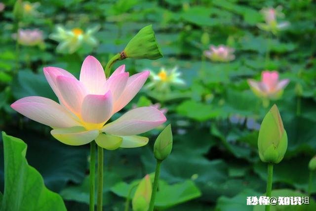 为什么见到讨厌的人心情会瞬间变差