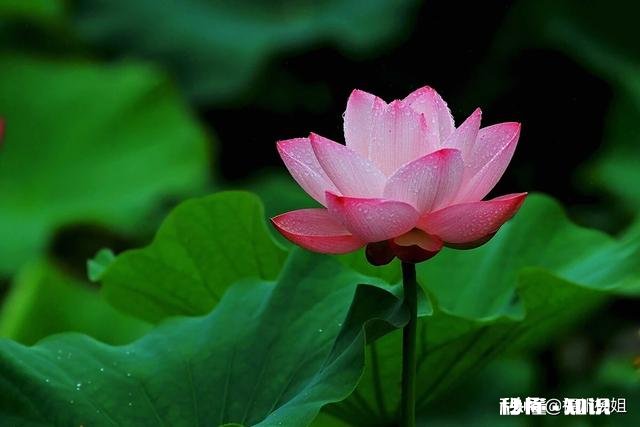 为什么见到讨厌的人心情会瞬间变差