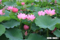 为什么见到讨厌的人心情会瞬间变差