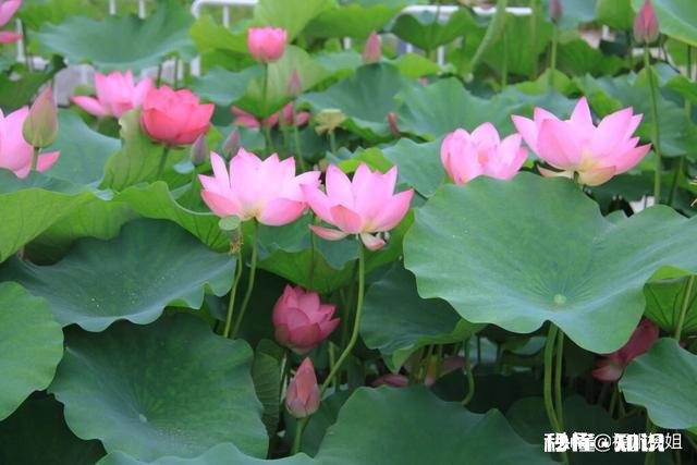 为什么见到讨厌的人心情会瞬间变差