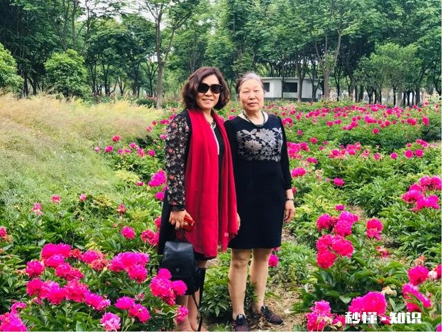 芍药花什么时候拍大场景,在哪里拍摄好