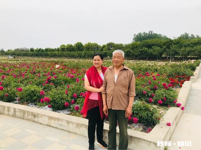 芍药花什么时候拍大场景,在哪里拍摄好