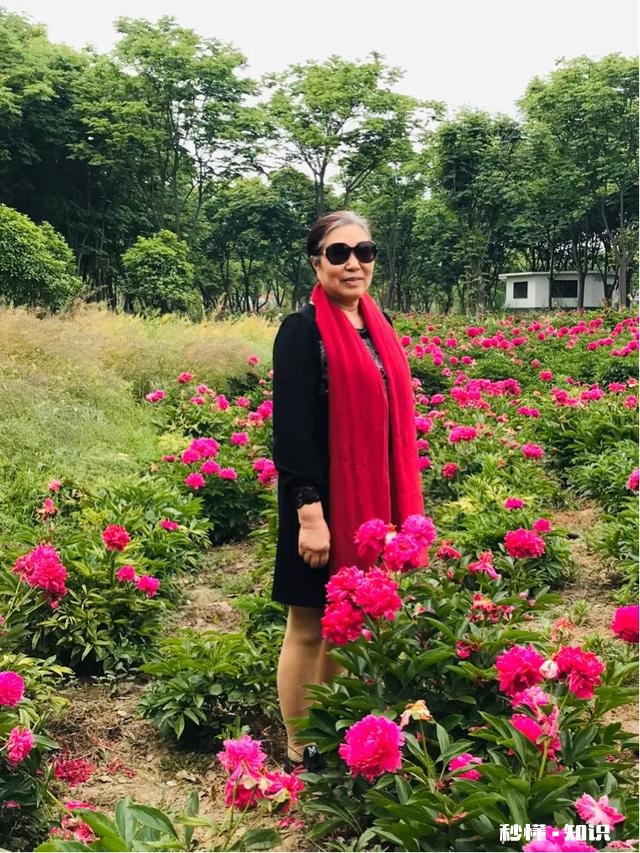 芍药花什么时候拍大场景,在哪里拍摄好