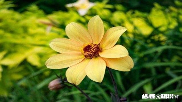 求问高中数学五三怎么样