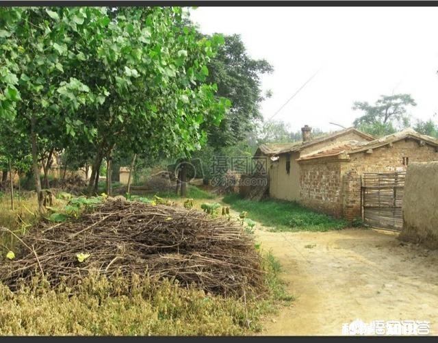 农户认为被征收集体耕地上附着物葡萄果园的补偿不合理,应该怎么办