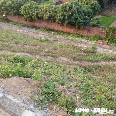 农户认为被征收集体耕地上附着物葡萄果园的补偿不合理,应该怎么办