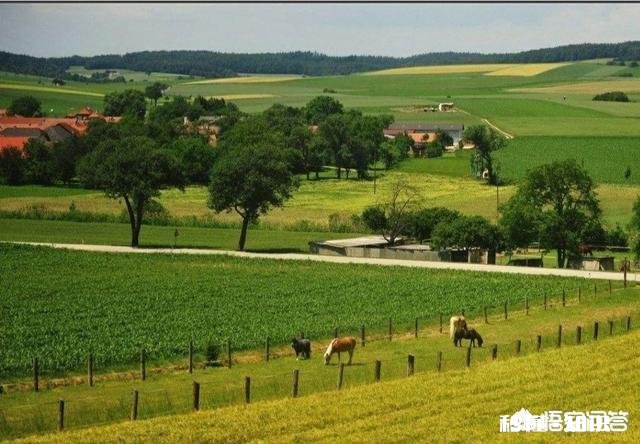 农户认为被征收集体耕地上附着物葡萄果园的补偿不合理,应该怎么办