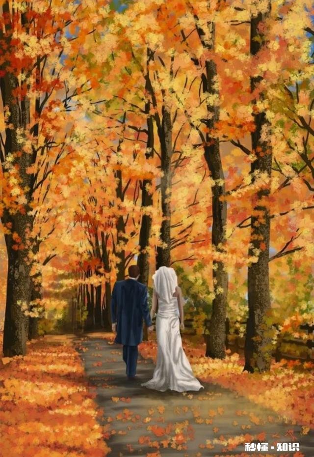 你会一边做饭一边刷头条吗