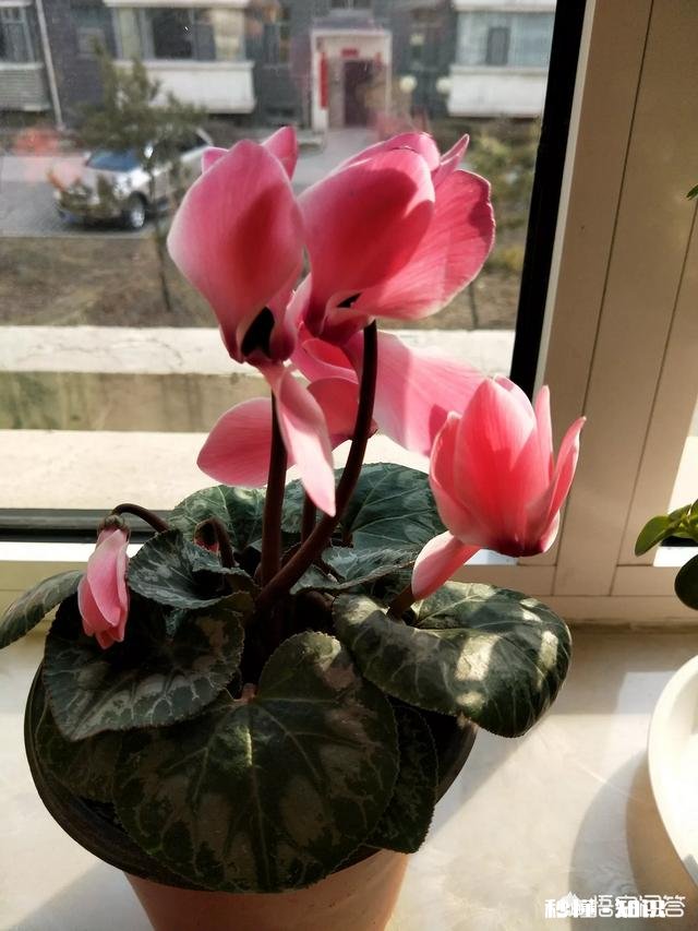 活在这世间，你觉得累吗苦吗