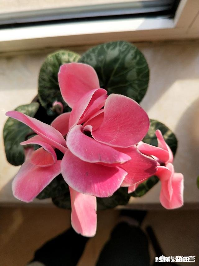 活在这世间，你觉得累吗苦吗