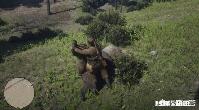 《荒野大镖客2》如何通过狩猎赚钱