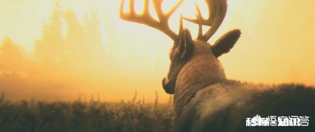 《荒野大镖客2》如何通过狩猎赚钱