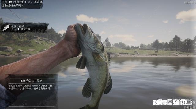 《荒野大镖客2》如何通过狩猎赚钱