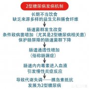 2型糖尿病能逆转吗为什么