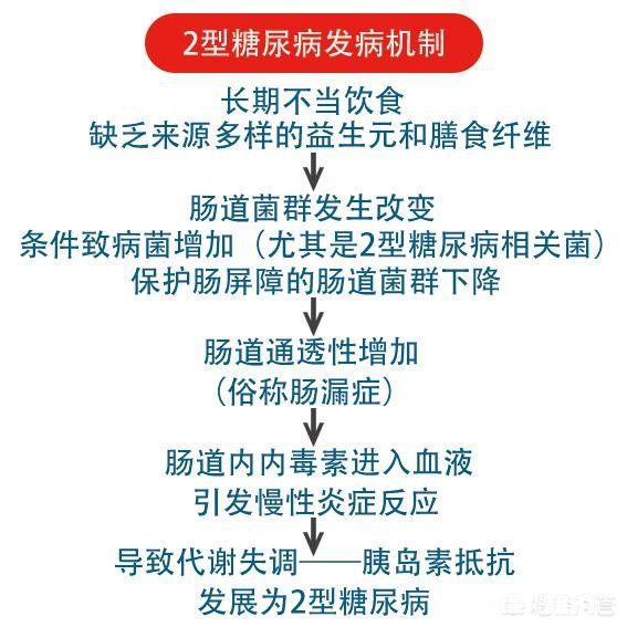 2型糖尿病能逆转吗为什么