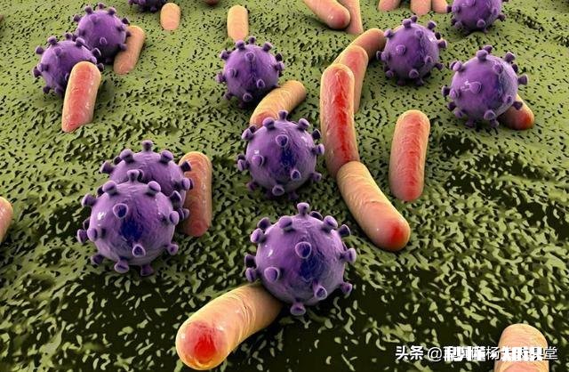 细菌性肺炎和病毒性肺炎怎么判断