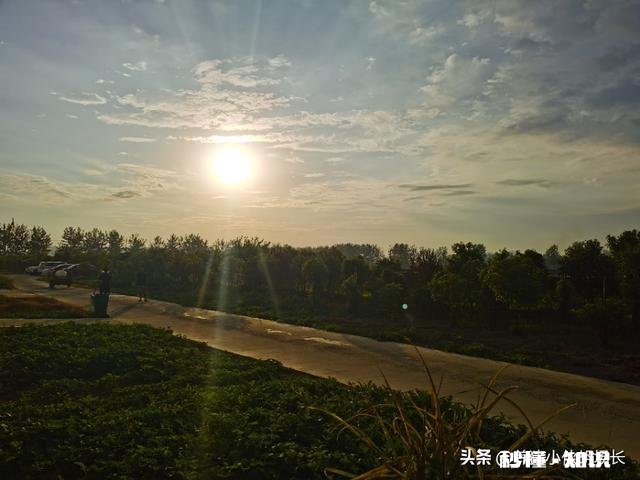 用一句话形容你的2020年经济情况