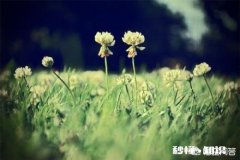 有人说“没有遗憾人生的人，并不快乐”你认同这句话吗为什么