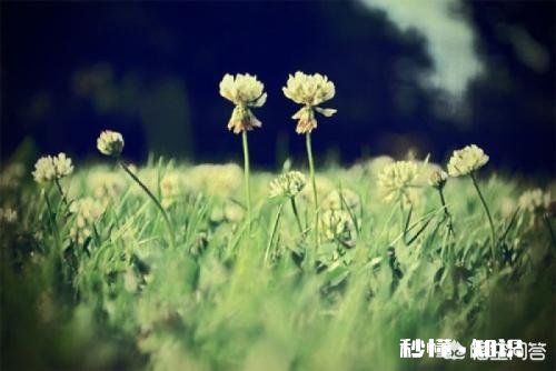 有人说“没有遗憾人生的人,并不快乐”你认同这句话吗为什么