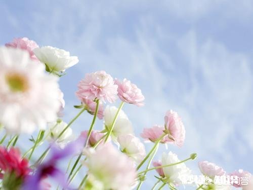 有人说“没有遗憾人生的人,并不快乐”你认同这句话吗为什么