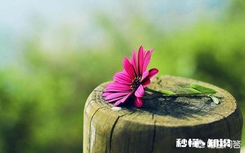 有人说“没有遗憾人生的人,并不快乐”你认同这句话吗为什么