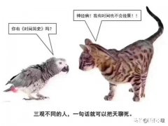 年薪170万阿里P8程序员征婚上热搜，程序员不配拥有爱情吗