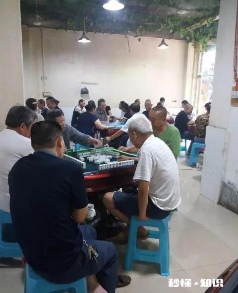 老年人天天打麻将有没有好处