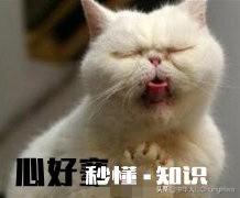 让女方出彩礼的男人是什么样的心里他有什么资本可以这样大言不惭