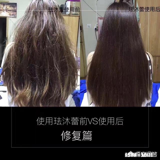 什么样的洗护产品比较好用