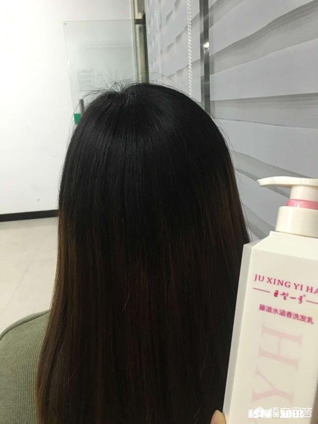 什么样的洗护产品比较好用