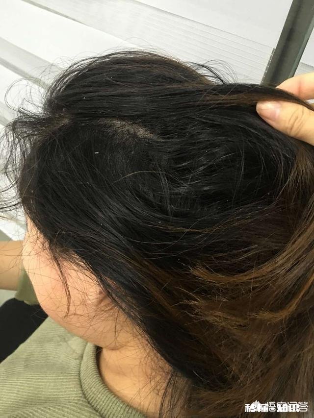 什么样的洗护产品比较好用