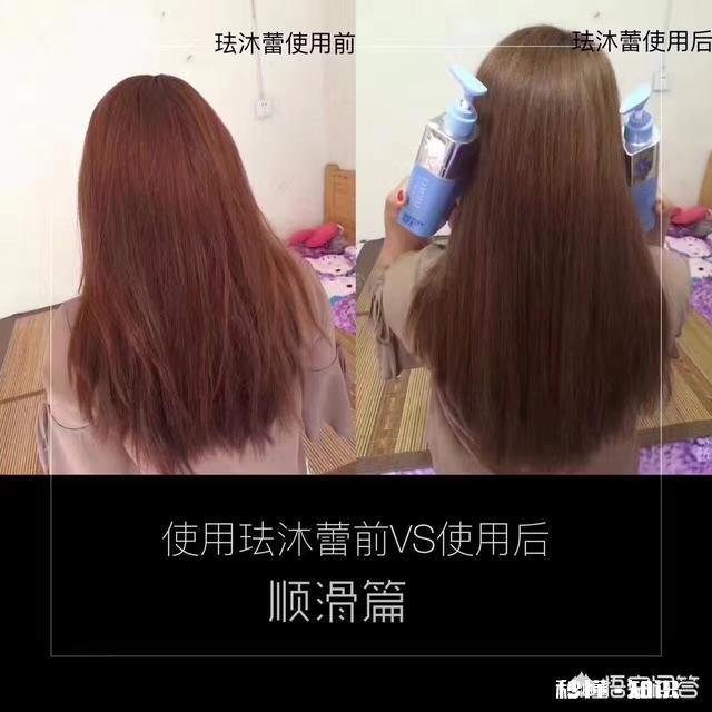 什么样的洗护产品比较好用