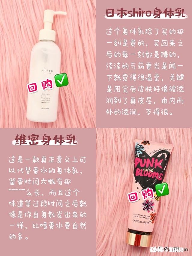 什么样的洗护产品比较好用