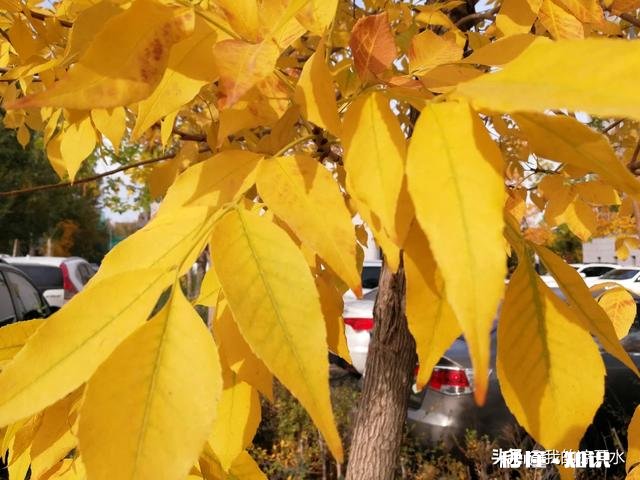 老婆和母亲常常为家庭琐事闹矛盾，谁都有对有错，我怎么处理才恰当